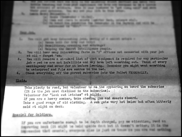 Taranis Picture Template - In The Shadows 2