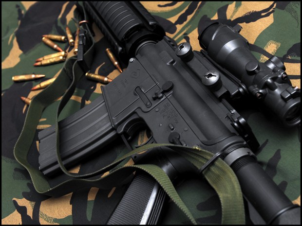 Taranis Picture Template - A2 Wars Panoptes 2